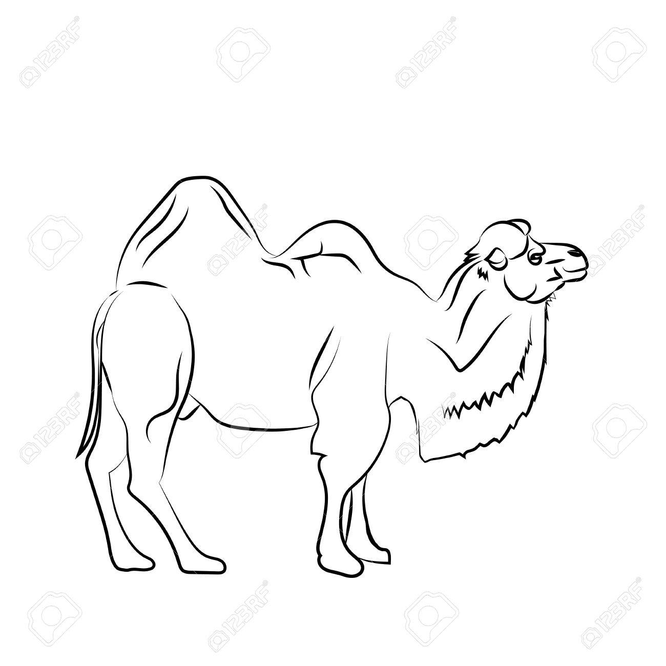 1300x1300 Dots Drawing - Camel Drawing Outline