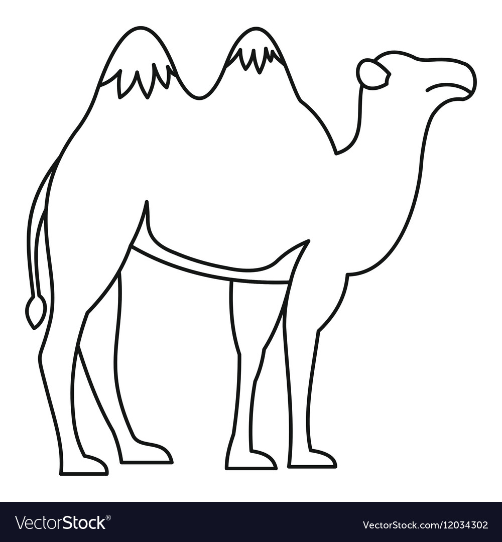 1000x1080 Unique Camel Outline Preschool For Cure Icon Style Royalty Free - Camel Drawing Outline