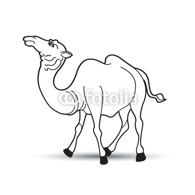 400x400 black outline camel walking on smooth shadow vector drawing buy - Camel Drawing Outline