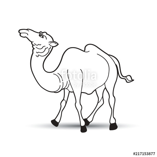 500x500 black outline camel walking on smooth shadow vector drawing stock - Camel Drawing Outline