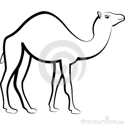 400x400 Camel - Camel Drawing Outline