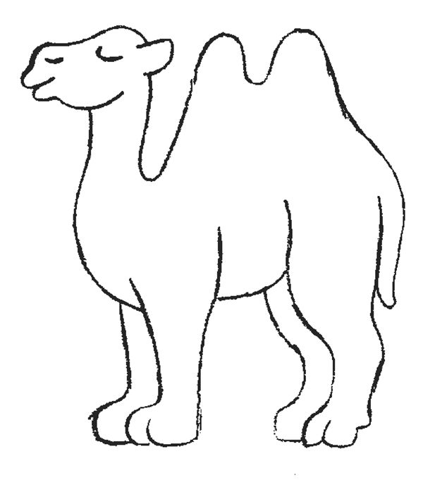 600x681 Camel Clipart Outline Great Free Clipart, Silhouette, Coloring - Camel Drawing Outline
