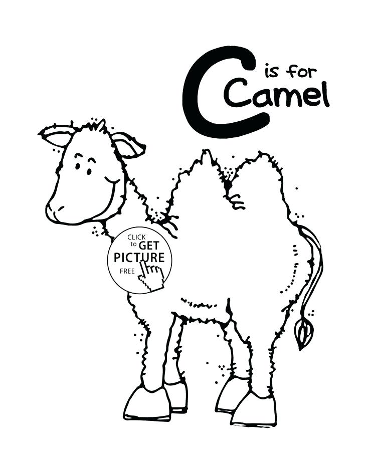 736x920 desert coloring pages to print camel habitat - Camel Face Drawing