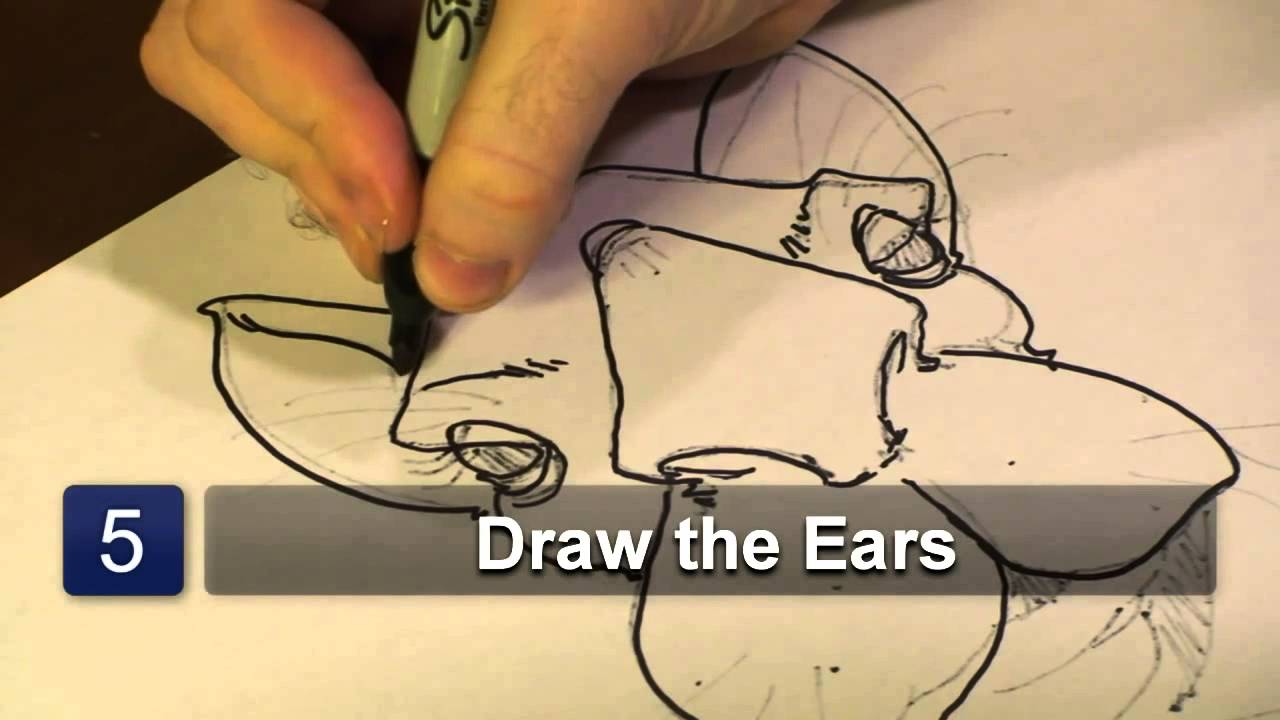 1280x720 How To Draw A Camel Face - Camel Face Drawing