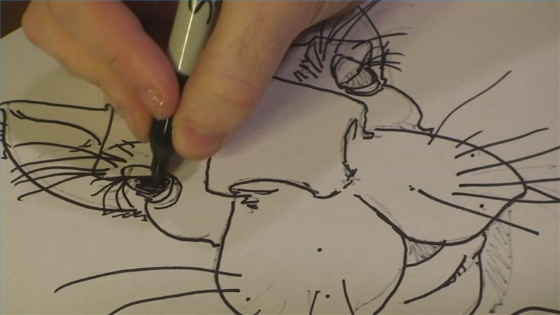 800x450 how to draw a camel face camels drawings, camel, face - Camel Face Drawing