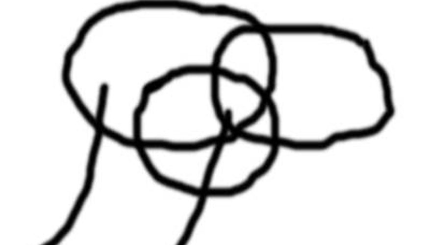 877x500 how to draw a camel face our pastimes - Camel Face Drawing