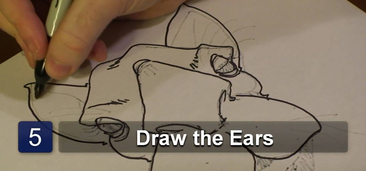 1280x600 how to draw a camel face drawing illustration wonderhowto - Camel Face Drawing