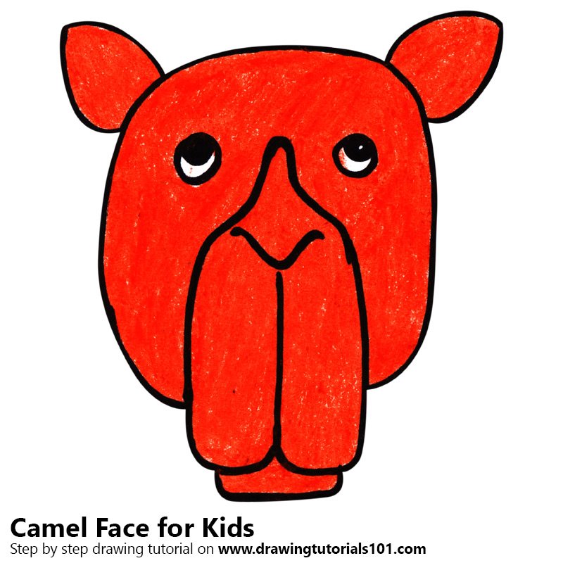 800x800 Learn How To Draw A Camel Face For Kids - Camel Face Drawing