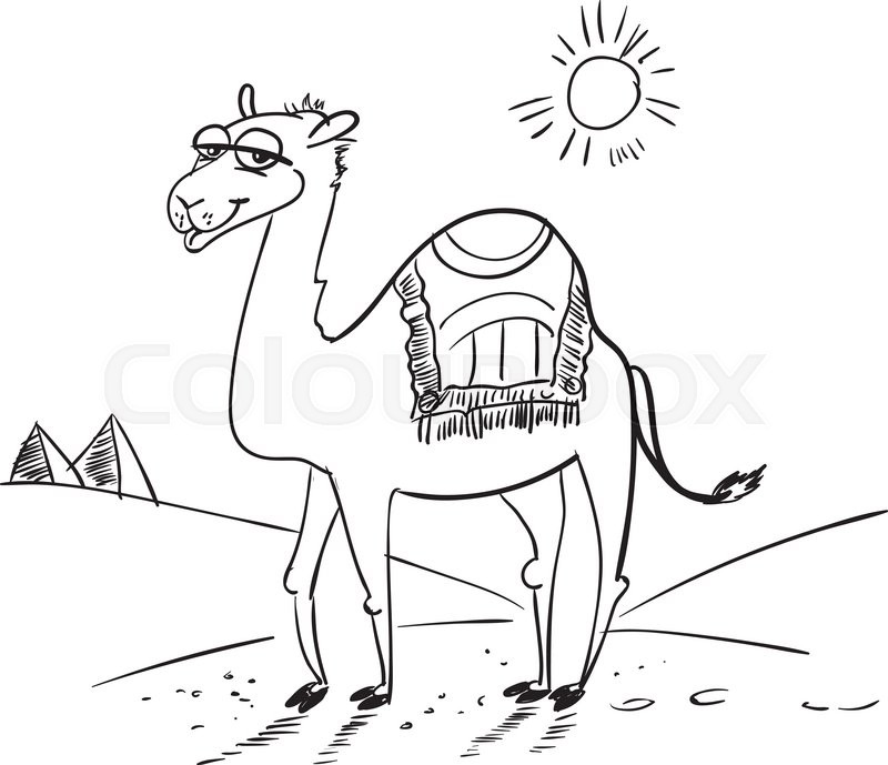 800x689 camel in the desert funny cartoon stock vector colourbox - Camel In Desert Drawing