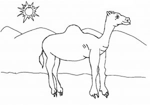 300x210 desert drawing for kids collection of camel in desert drawing - Camel In Desert Drawing