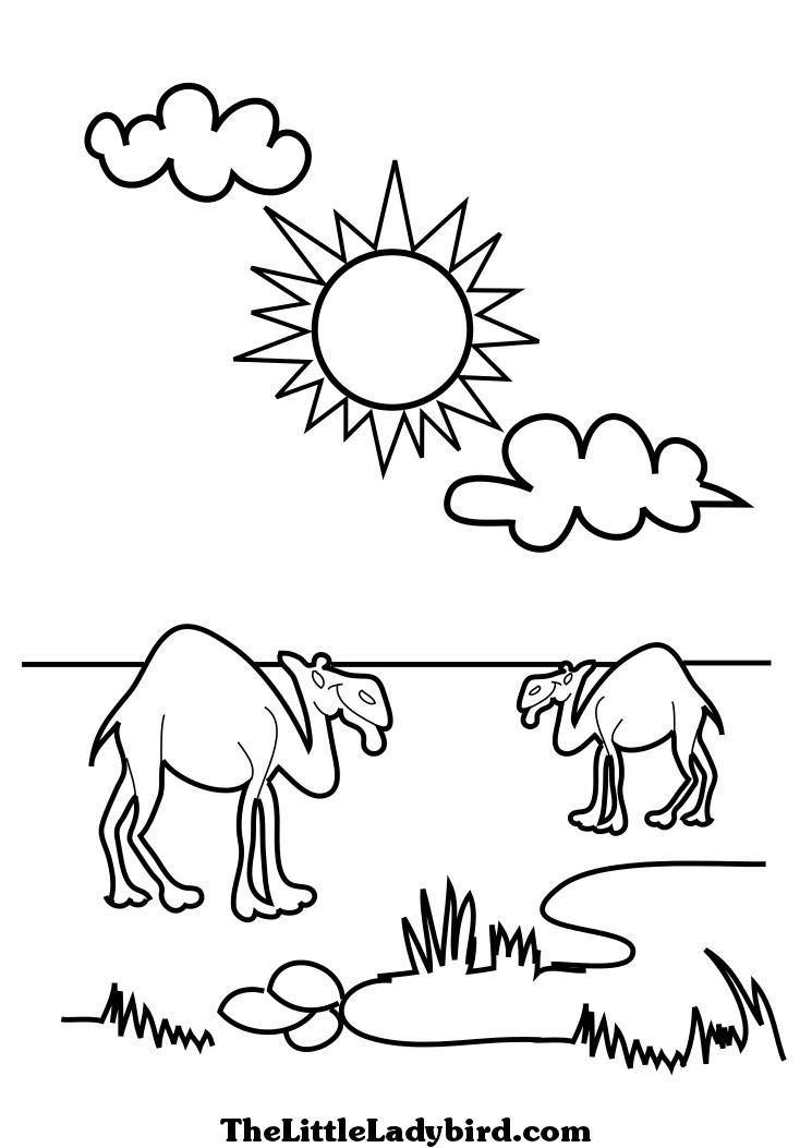 745x1053 free camels in the desert coloring - Camel In Desert Drawing