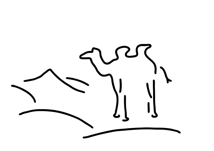 900x635 camel in desert drawing - Camel In Desert Drawing
