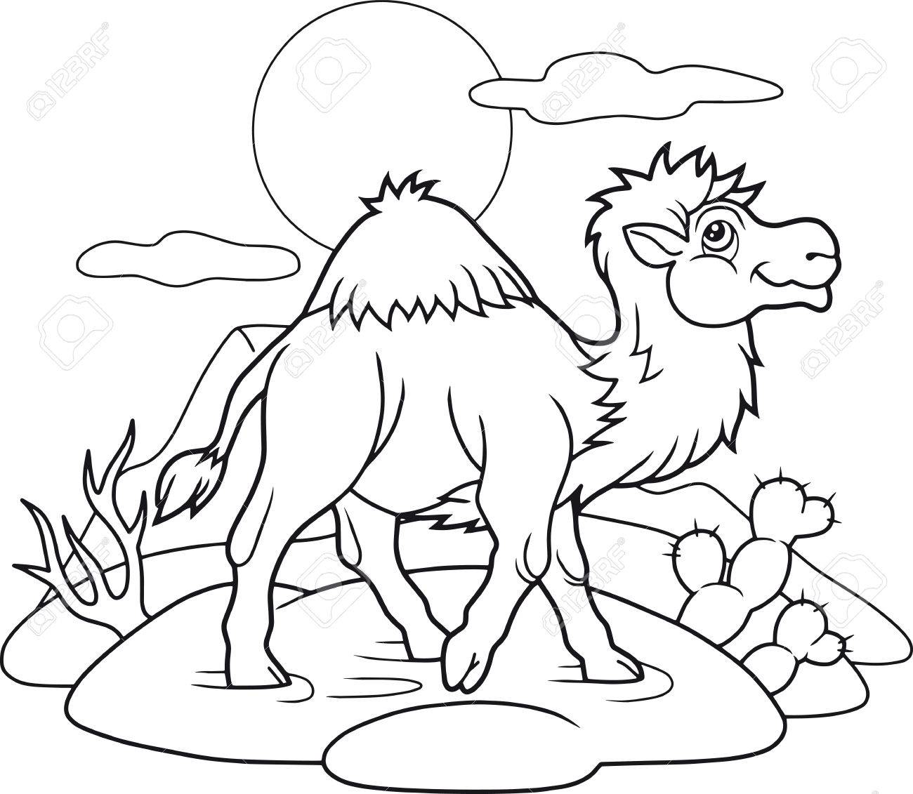 20+ Latest Cartoon Desert Drawing Camel | Invisible Blogger