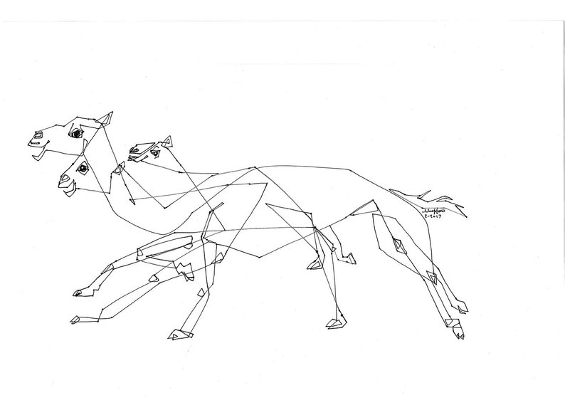794x562 camel race middle east arabian culture line drawing etsy - Camel Line Drawing