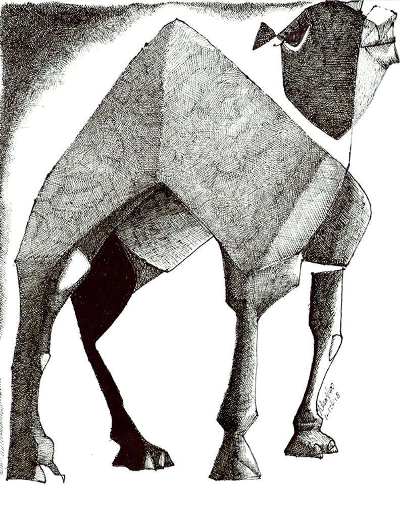 794x1027 Camel In Multi Perspective Views Line Drawing Arabian Etsy - Camel Line Drawing