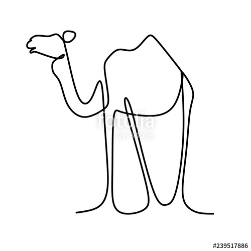 500x500 Camel One Line Art Drawing Vector Stock Image And Royalty Free - Camel Line Drawing