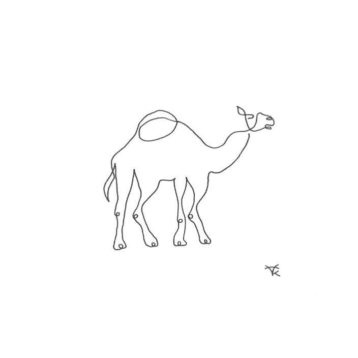 704x704 Camels - Camel Line Drawing