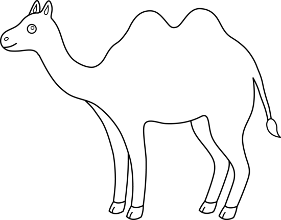550x431 Drawing Camels Black White Transparent Png Clipart Free Download - Camel Line Drawing