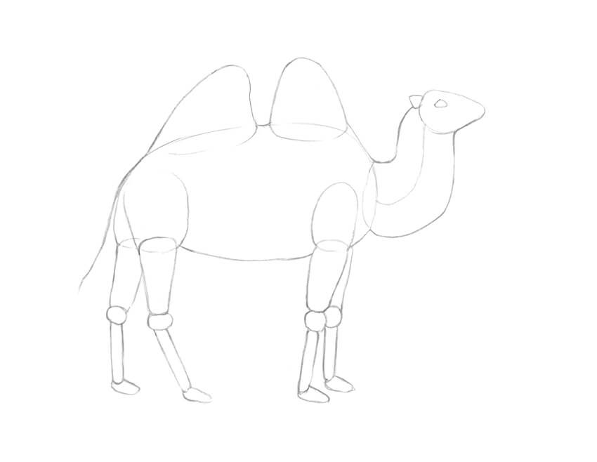 850x658 How To Draw A Camel - Camel Line Drawing