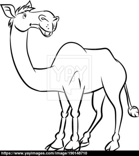 458x512 Line Drawing A Camel - Camel Line Drawing
