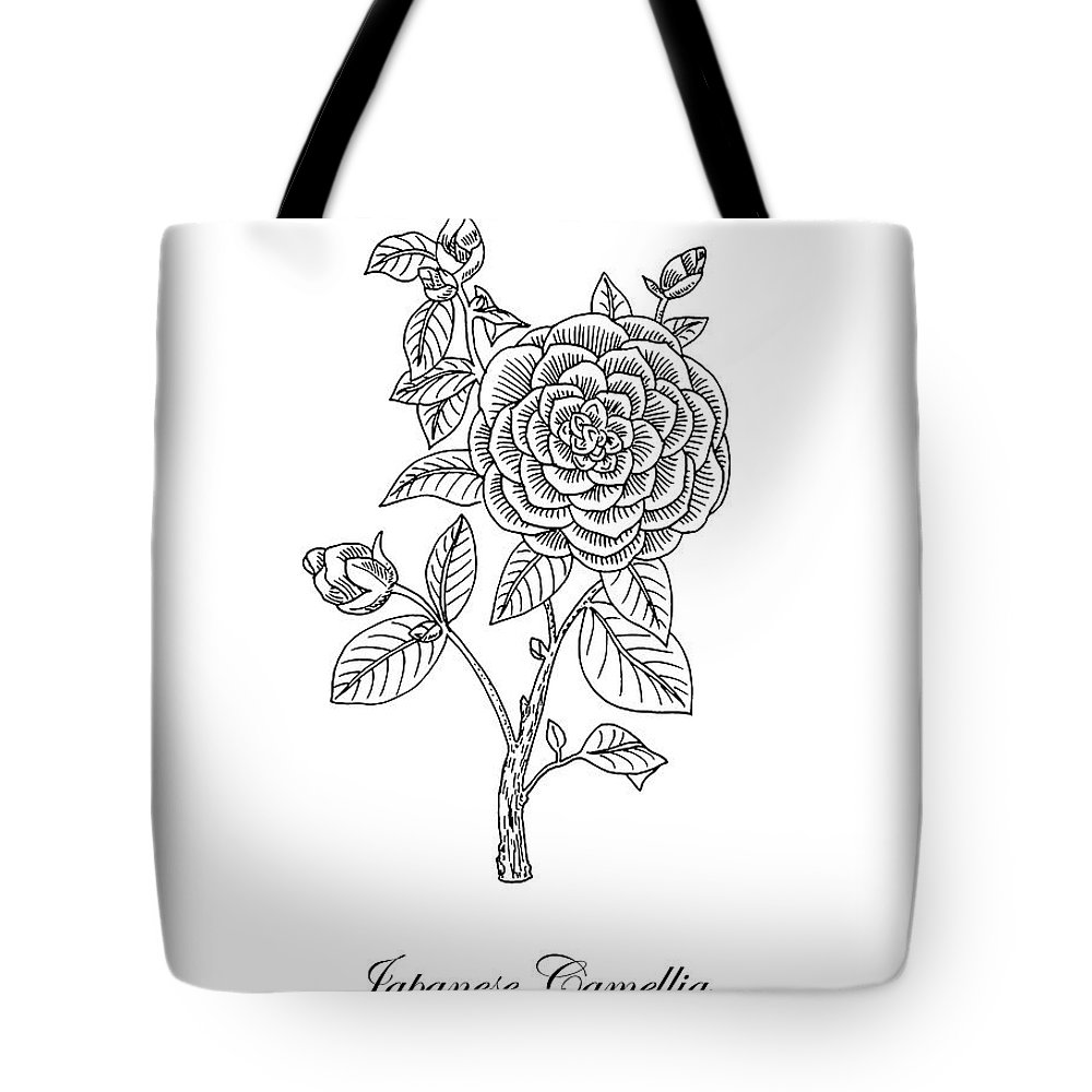 1000x1000 Japanese Camellia Flower Botanical Drawing Tote Bag For Sale - Camellia Drawing