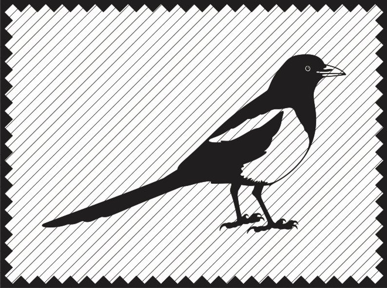 794x592 magpie magpie clipart magpie drawing laser etsy - Cameo Drawing