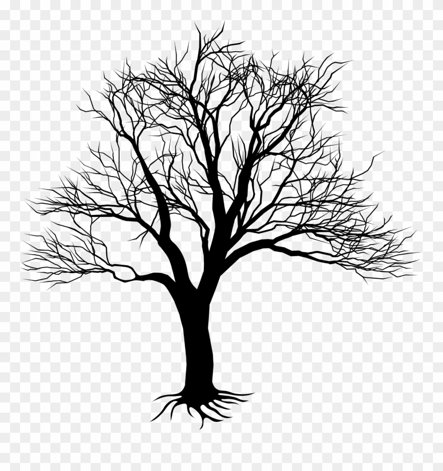 880x936 png black and white download camo drawing oak tree - Camo Drawing