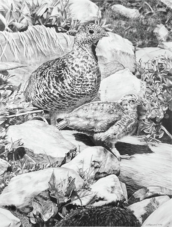 682x900 summer camo drawing - Camo Drawing