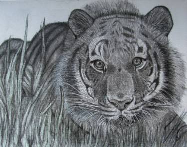 375x296 Camouflage Drawing - Camouflage Drawing