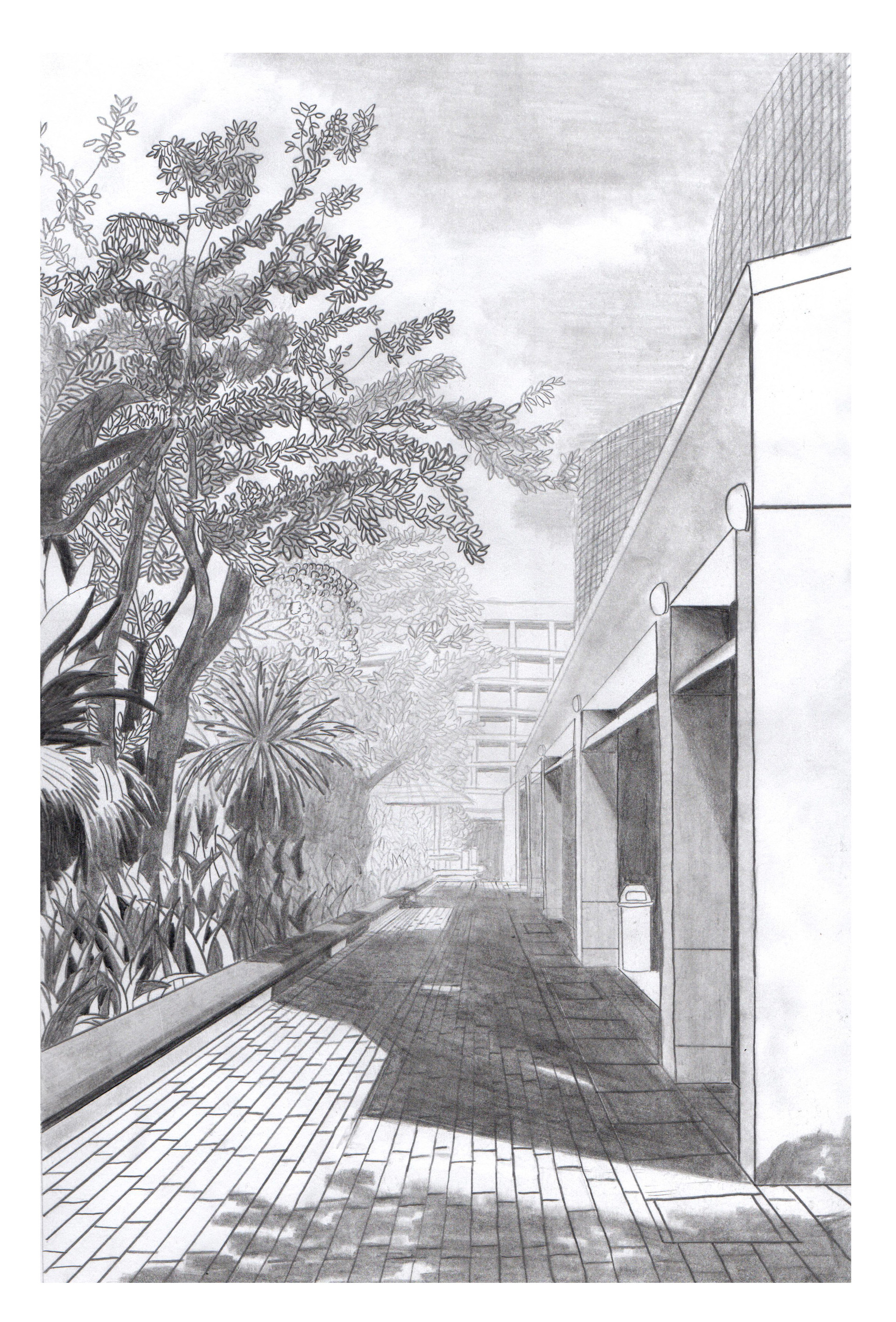 1920x2832 lim tao hong - Campus Drawing