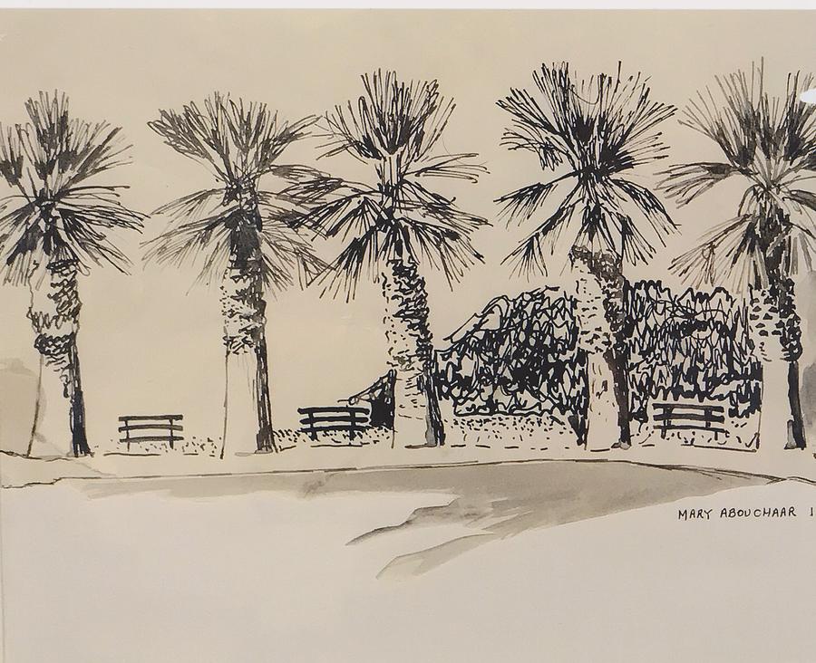 900x732 pen and ink drawing of palm trees on american university campus - Campus Drawing