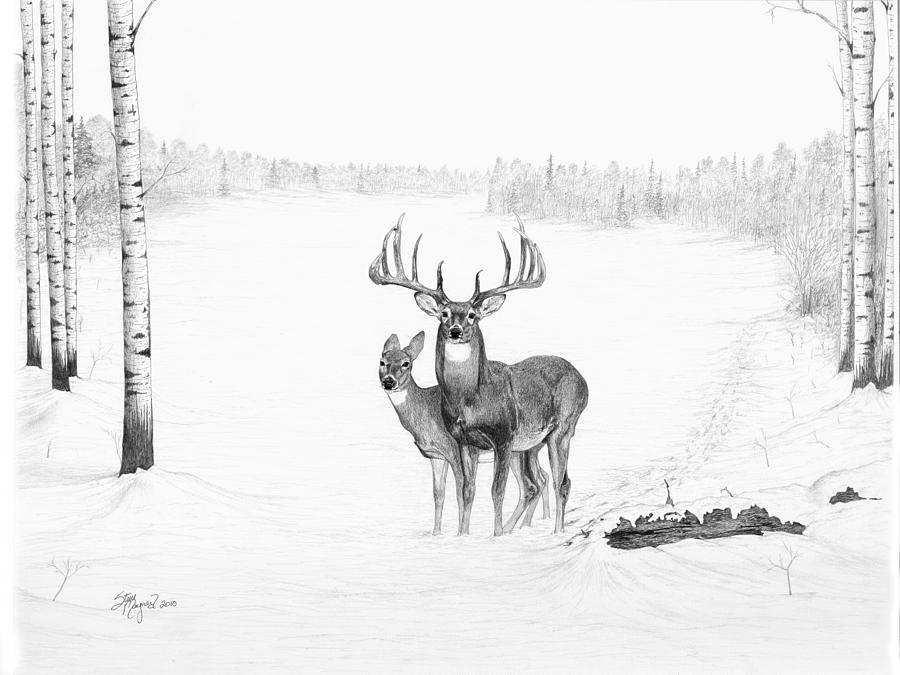 900x675 Canadian Dream Drawing - Canada Drawing