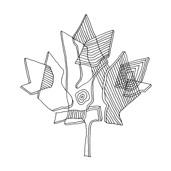 600x600 Canadian Maple Leaf Colouring - Canada Drawing