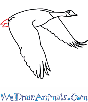 300x350 how to draw a canada goose - Canada Drawing