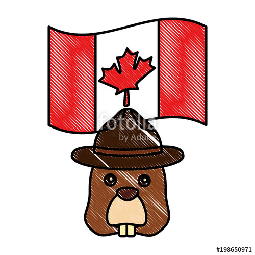 500x500 Beaver Head Character With Hat And Canadian Flag Vector - Canada Flag Drawing