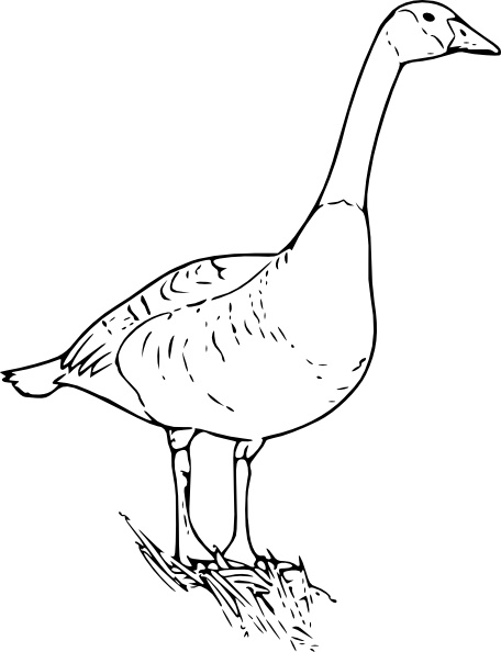 456x594 canada goose clip art free vector in open office drawing - Canada Goose Drawing