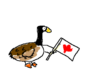 300x250 canada goose drawing - Canada Goose Drawing