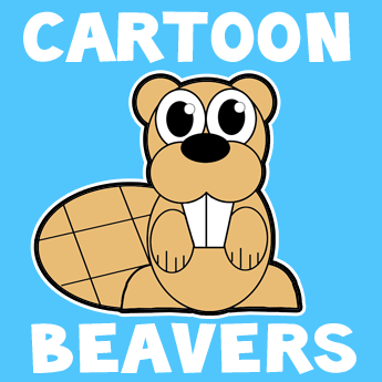 345x345 how to draw a cartoon beaver with easy step - Canadian Beaver Drawing
