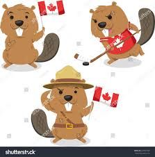 223x226 image result for canadian beaver cvssk editorial refs - Canadian Beaver Drawing