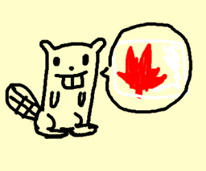 300x250 proud canadian beaver drawing - Canadian Beaver Drawing