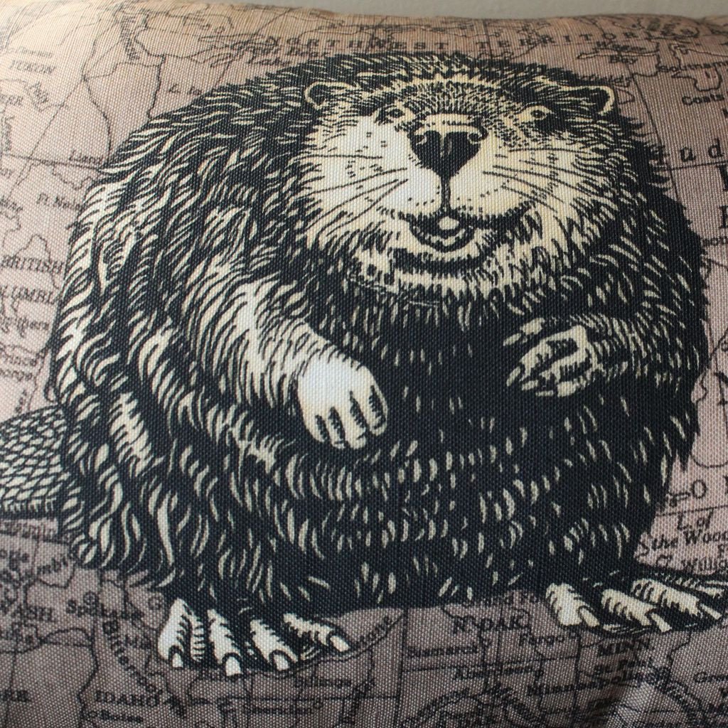 1024x1024 Wildlife Drawing And Map Pillow - Canadian Beaver Drawing