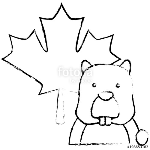 500x500 beaver rodent maple leaf canadian concept vector illustration - Canadian Beaver Drawing