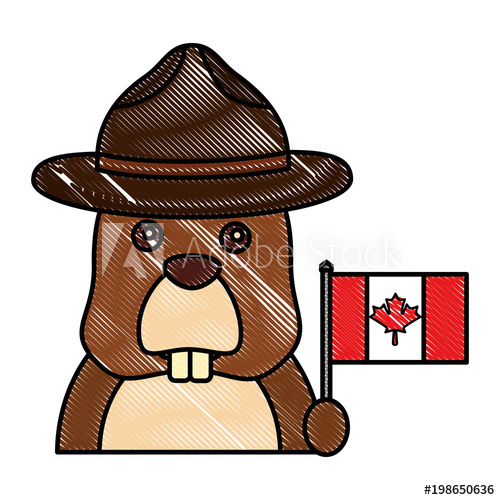 500x500 beaver rodent with hat and canadian flag vector illustration - Canadian Beaver Drawing