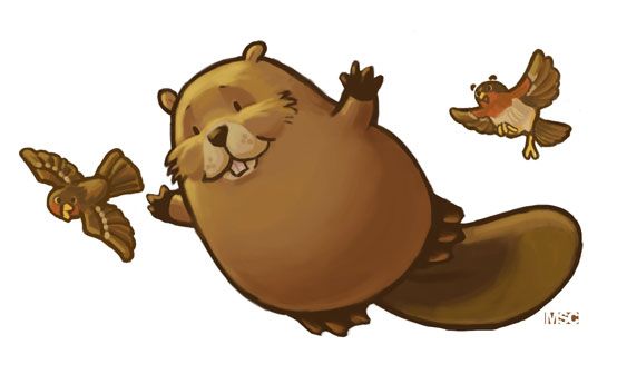 554x336 flying beaver original looked more like a falling groundhog - Canadian Beaver Drawing