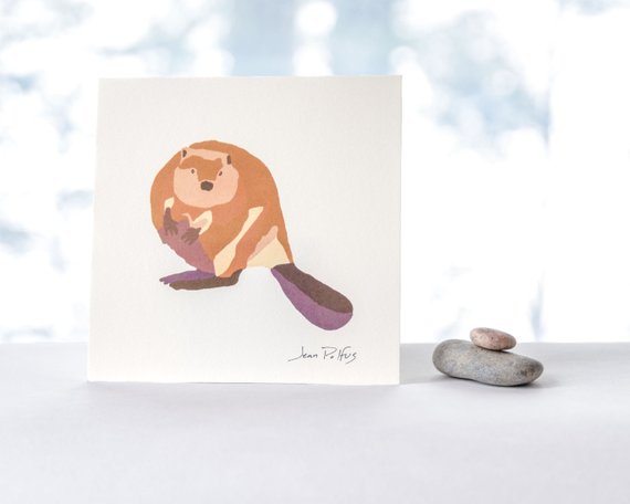 570x456 beaver drawing canadian wildlife beaver illustration wild etsy - Canadian Beaver Drawing