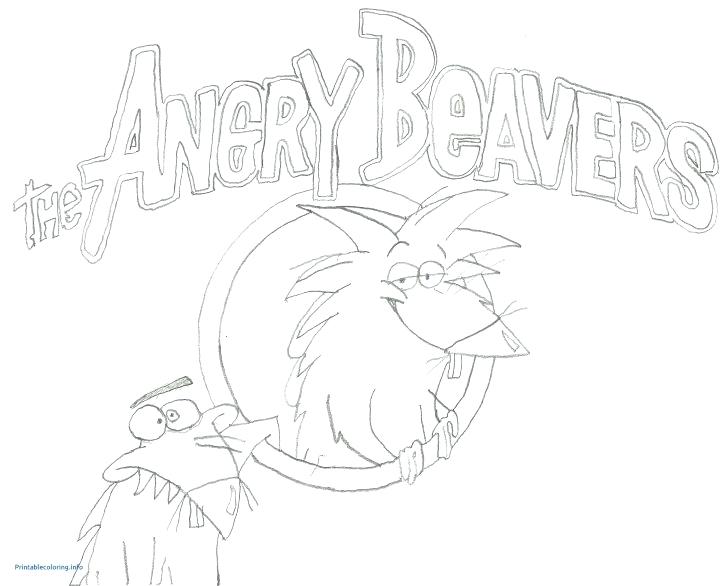 728x586 canadian beaver colouring pages scouts coloring - Canadian Beaver Drawing