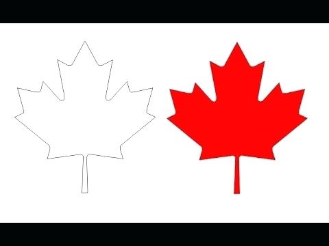 480x360 Flag Coloring - Canadian Leaf Drawing