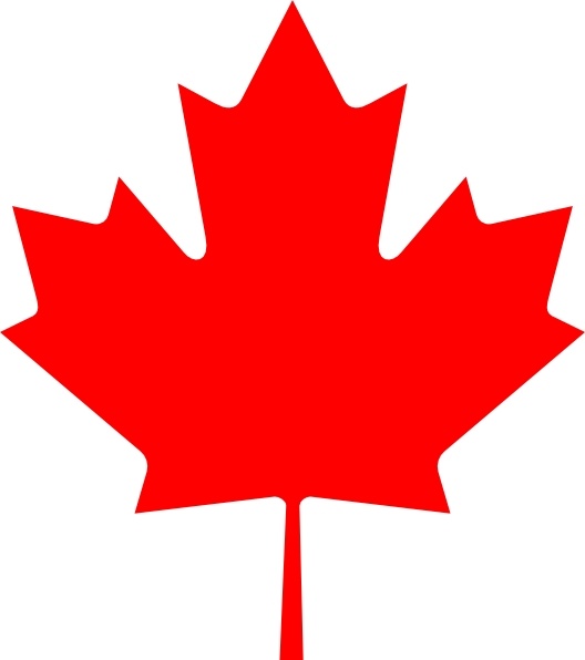 528x596 Flag Of Canada Leaf Clip Art Free Vector In Open Office Drawing - Canadian Leaf Drawing