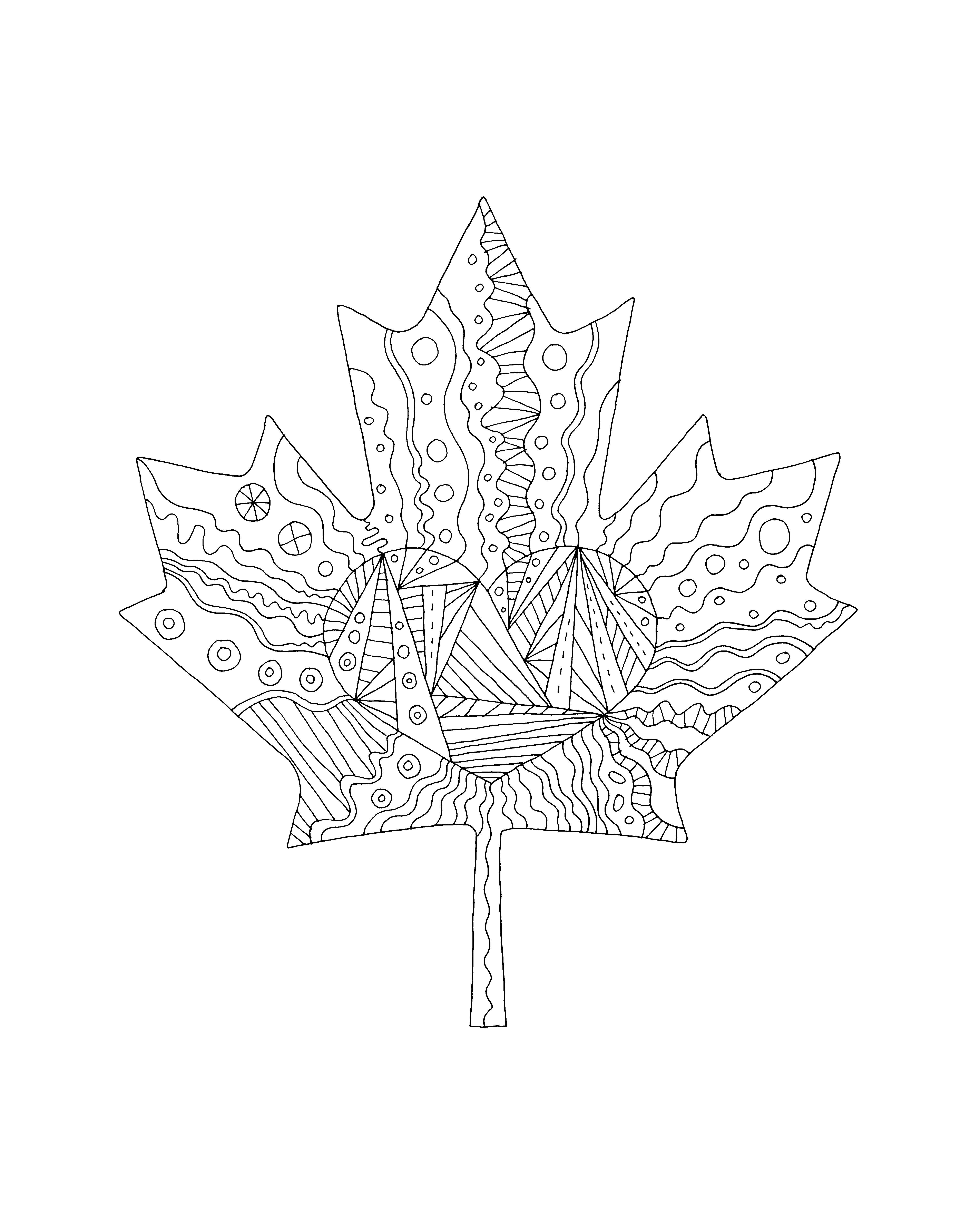 4800x6000 pages canadian maple leaf colouring - Canadian Leaf Drawing