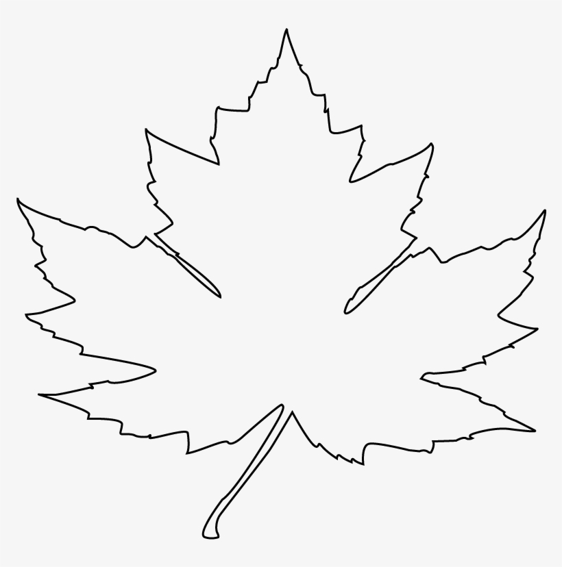 820x828 Maple Leaf Images - Canadian Leaf Drawing